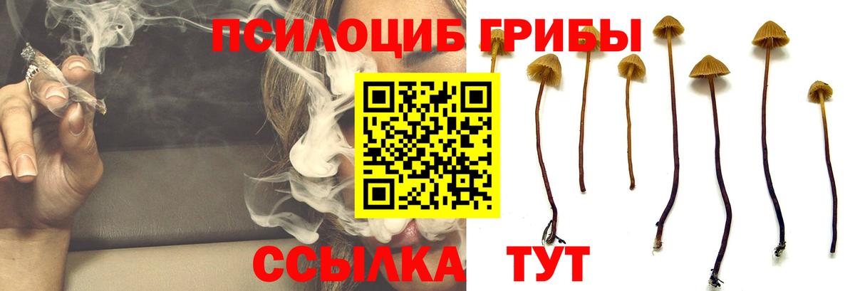 Галлюциногенные грибы ЛСД Энгельс